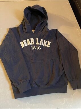 Navy Hoodie Sweatshirt